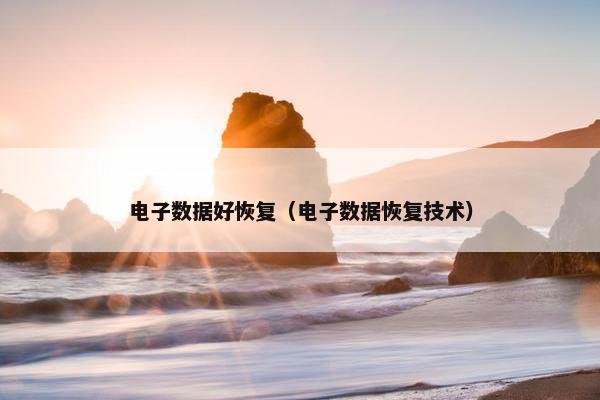 电子数据好恢复（电子数据恢复技术）