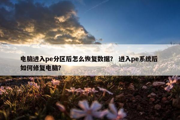 电脑进入pe分区后怎么恢复数据？ 进入pe系统后 如何修复电脑？
