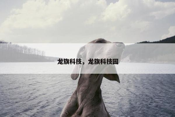 龙旗科技，龙旗科技园