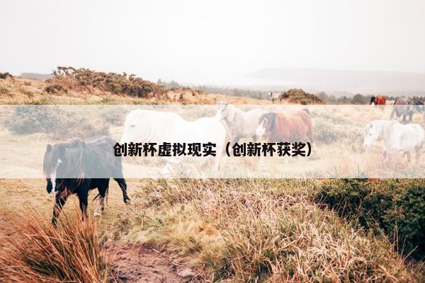 创新杯虚拟现实（创新杯获奖）