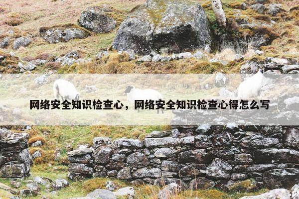 网络安全知识检查心，网络安全知识检查心得怎么写