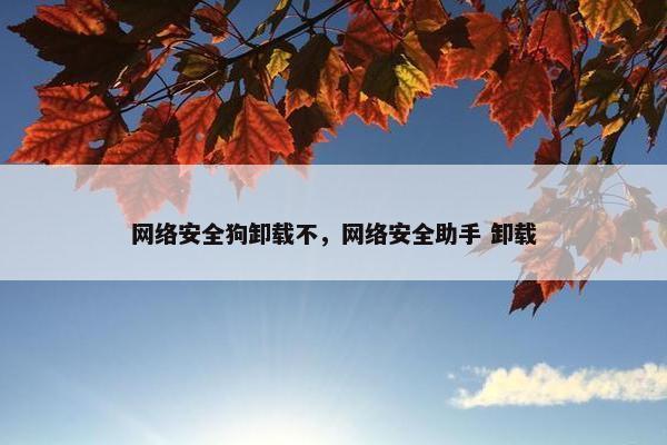 网络安全狗卸载不，网络安全助手 卸载