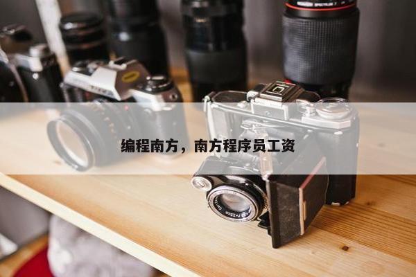 编程南方，南方程序员工资