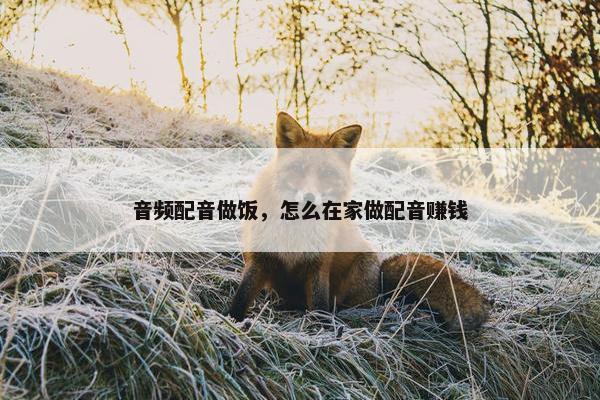 音频配音做饭，怎么在家做配音赚钱