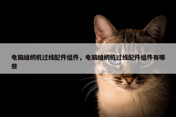 电脑缝纫机过线配件组件，电脑缝纫机过线配件组件有哪些