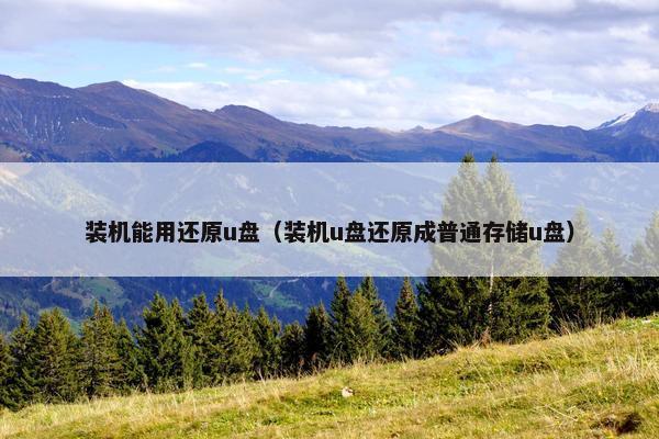 装机能用还原u盘（装机u盘还原成普通存储u盘）