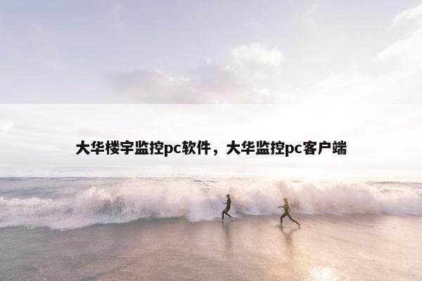 大华楼宇监控pc软件，大华监控pc客户端