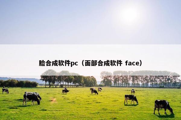 脸合成软件pc（面部合成软件 face）