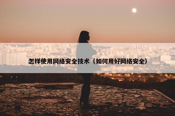怎样使用网络安全技术（如何用好网络安全）