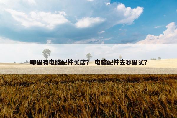 哪里有电脑配件买店？ 电脑配件去哪里买？