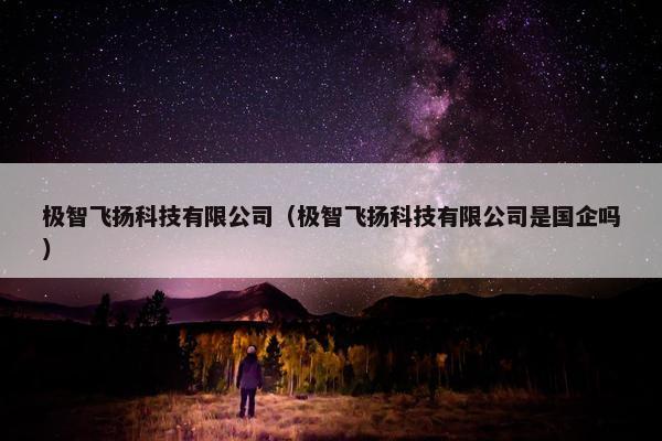 极智飞扬科技有限公司（极智飞扬科技有限公司是国企吗）