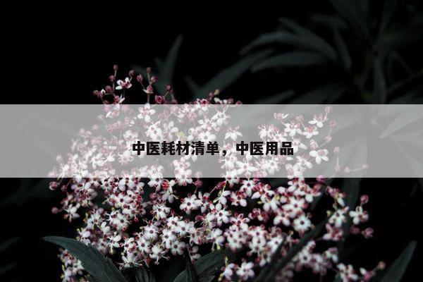 中医耗材清单，中医用品