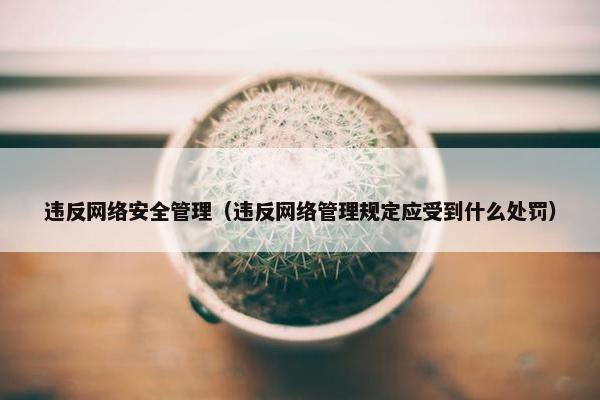 违反网络安全管理（违反网络管理规定应受到什么处罚）