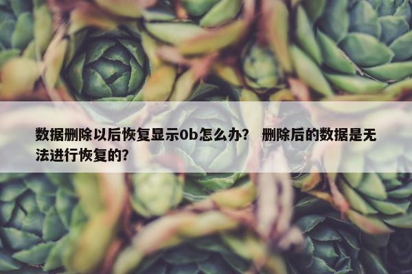 数据删除以后恢复显示0b怎么办？ 删除后的数据是无法进行恢复的？