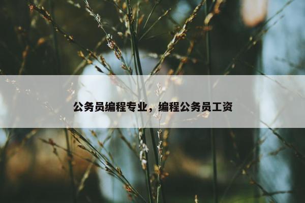 公务员编程专业，编程公务员工资