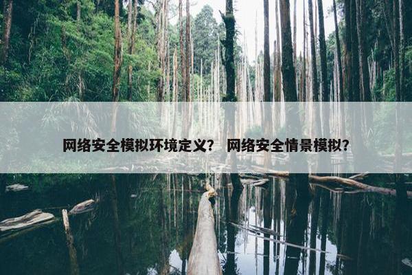 网络安全模拟环境定义？ 网络安全情景模拟？