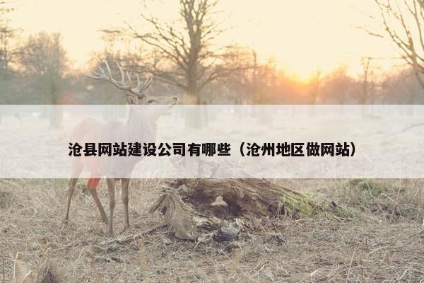 沧县网站建设公司有哪些（沧州地区做网站）