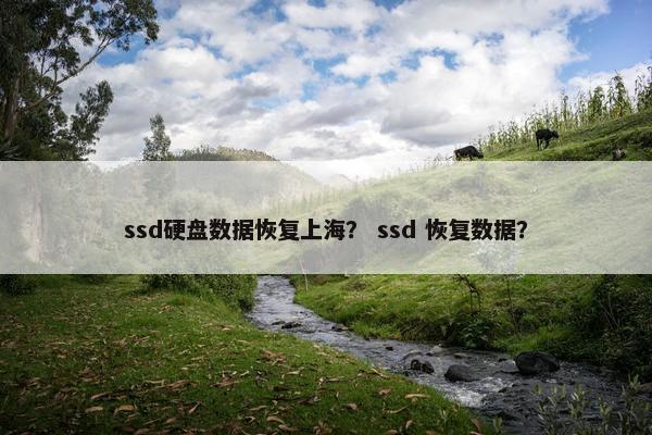 ssd硬盘数据恢复上海？ ssd 恢复数据？