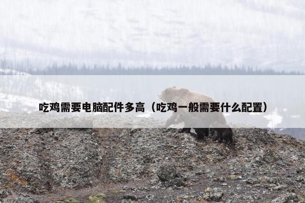 吃鸡需要电脑配件多高（吃鸡一般需要什么配置）