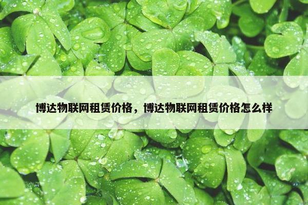 博达物联网租赁价格，博达物联网租赁价格怎么样