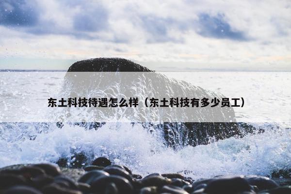 东土科技待遇怎么样（东土科技有多少员工）