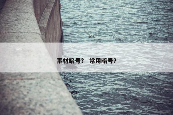 素材暗号？ 常用暗号？