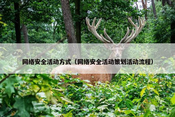 网络安全活动方式（网络安全活动策划活动流程）