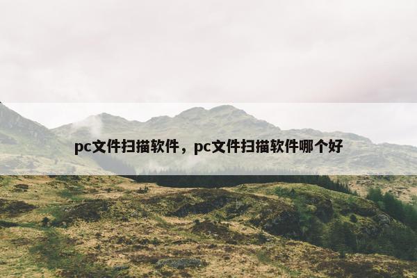pc文件扫描软件，pc文件扫描软件哪个好