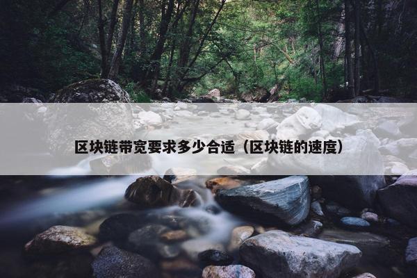 区块链带宽要求多少合适（区块链的速度）