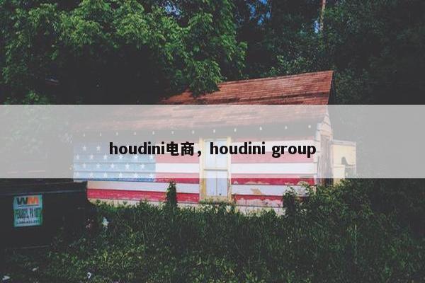 houdini电商，houdini group
