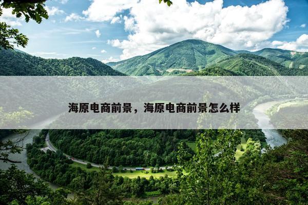 海原电商前景，海原电商前景怎么样