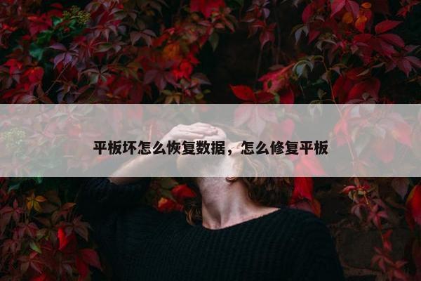 平板坏怎么恢复数据，怎么修复平板