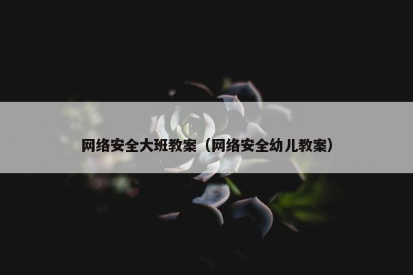 网络安全大班教案（网络安全幼儿教案）