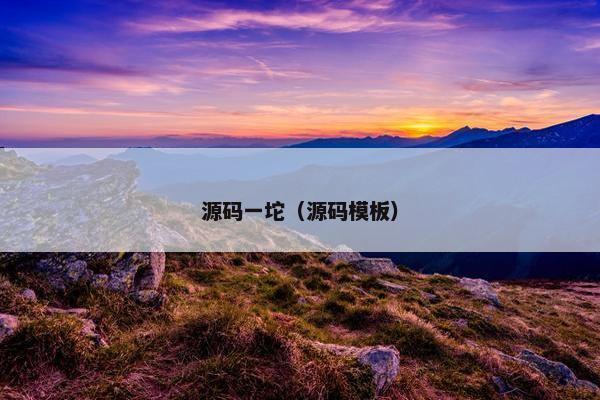 源码一坨（源码模板）