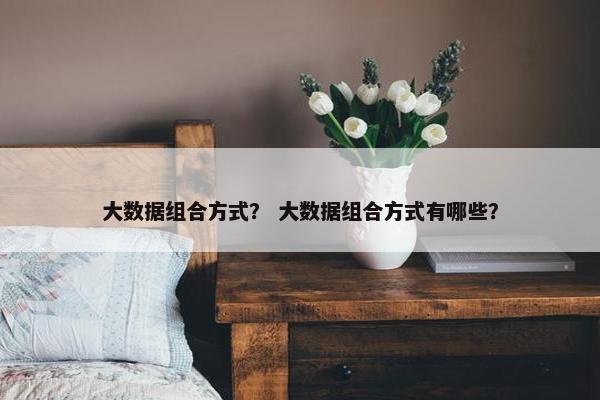 大数据组合方式？ 大数据组合方式有哪些？