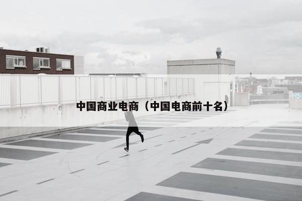 中国商业电商（中国电商前十名）