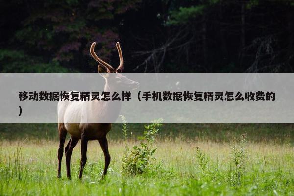 移动数据恢复精灵怎么样（手机数据恢复精灵怎么收费的）