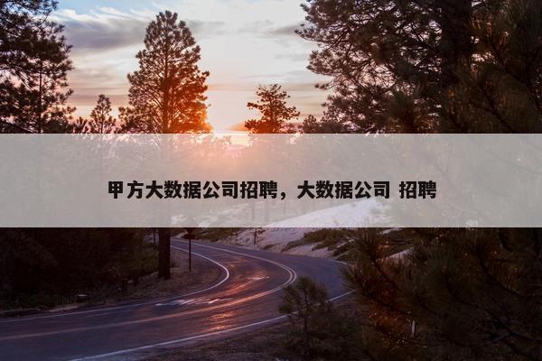 甲方大数据公司招聘，大数据公司 招聘
