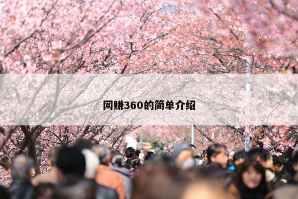 网赚360的简单介绍