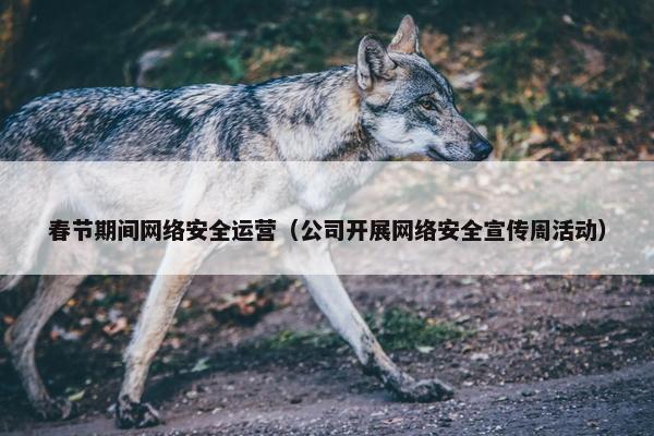 春节期间网络安全运营（公司开展网络安全宣传周活动）