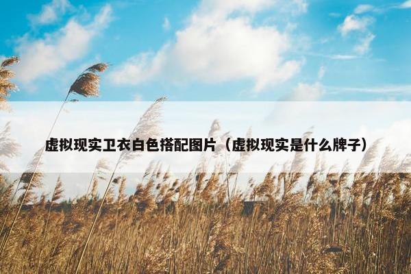 虚拟现实卫衣白色搭配图片（虚拟现实是什么牌子）