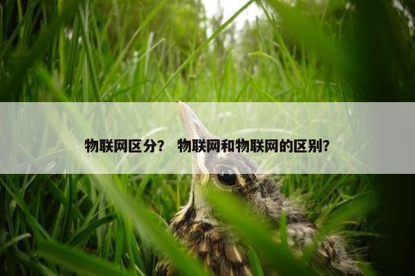 物联网区分？ 物联网和物联网的区别？