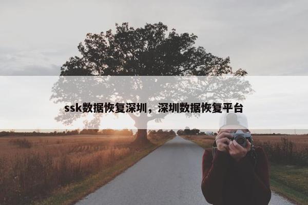 ssk数据恢复深圳，深圳数据恢复平台