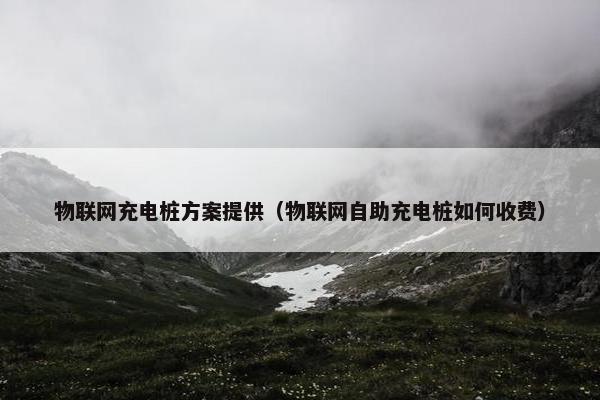 物联网充电桩方案提供（物联网自助充电桩如何收费）