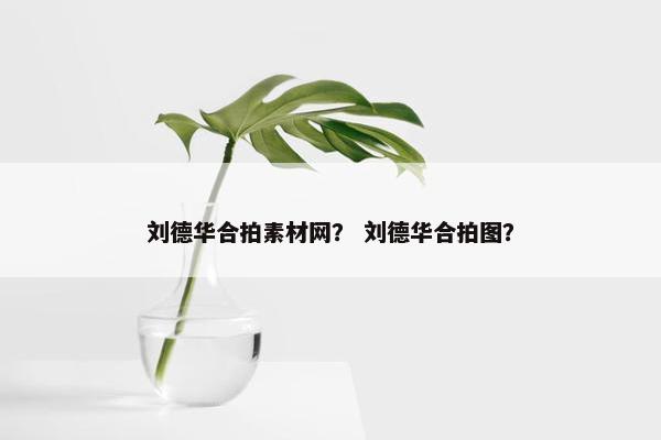 刘德华合拍素材网？ 刘德华合拍图？
