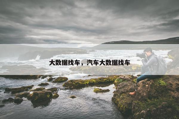 大数据找车，汽车大数据找车