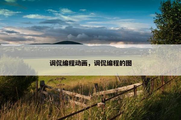 调侃编程动画，调侃编程的图