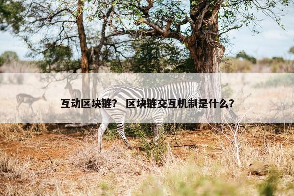 互动区块链？ 区块链交互机制是什么？
