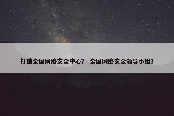 打造全国网络安全中心？ 全国网络安全领导小组？