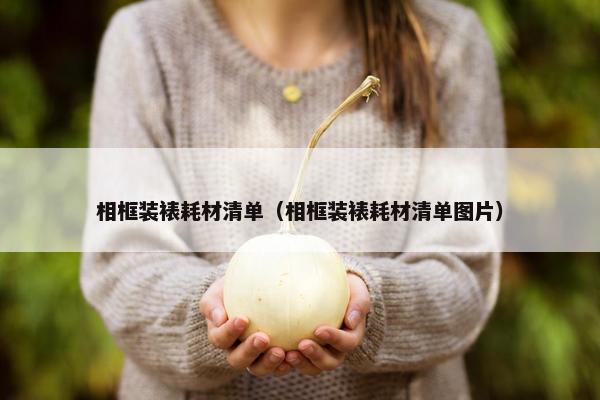 相框装裱耗材清单（相框装裱耗材清单图片）
